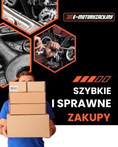 Dlaczego e-Motoryzacyjny?