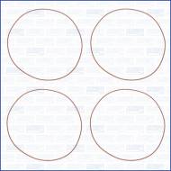 60002600 AJUSA - ZESTAW USZCZELEK TULEI CYL. CITROEN C3 09-